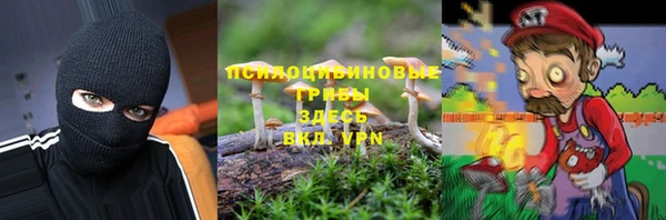 сатива Алексеевка