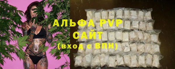 apvp Алексин