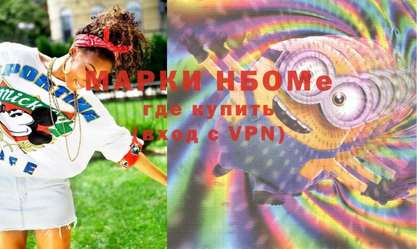 хмурый Алзамай