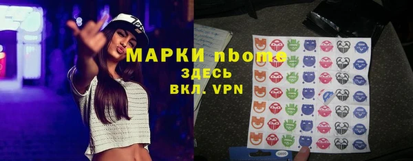 хмурый Алзамай